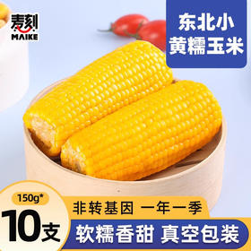 「软糯香甜！真空装」粘玉米东北黏糯黄玉米棒10支真空包装黄苞米新鲜甜玉米粮油米面