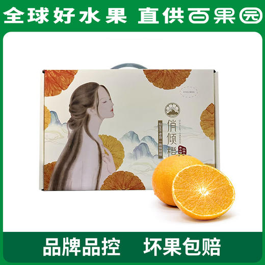 PAGODA百果园 A级-象山红美人蜜柑（中）3斤礼盒装 商品图0