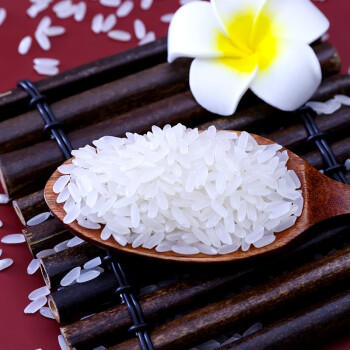 金鹤 御品鹤乡1号 东北大米 长粒香米 粳米 当季新米 10公斤 20斤 /粮油调味 /米 /长粒香米 商品图3