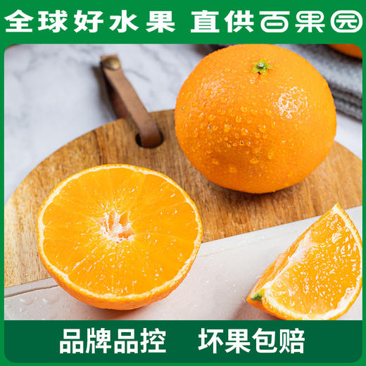 PAGODA百果园 A级-象山红美人蜜柑（大）12粒礼盒装 商品图2