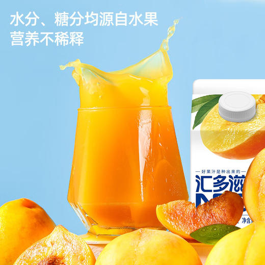 汇多滋NFC100%果汁325ml 商品图4
