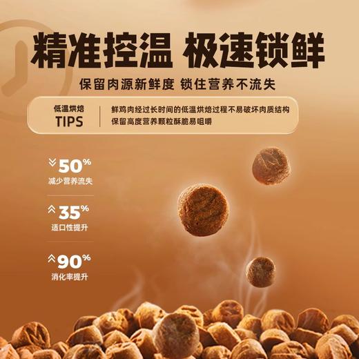 灵动低温烘焙全价猫粮2kg成猫幼猫通用无谷鲜肉营养全期猫咪主粮 商品图1