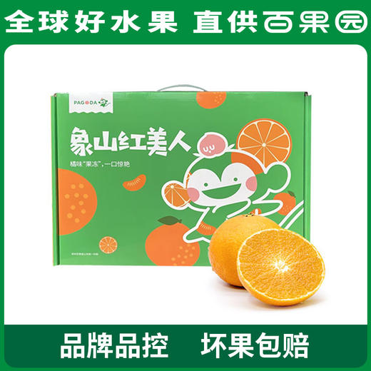 PAGODA百果园 A级-象山红美人蜜柑（大）12粒礼盒装 商品图0
