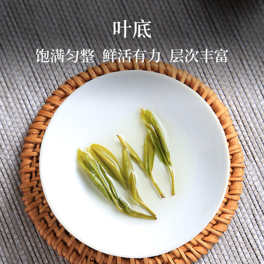 2025新茶上市徽六黄山毛峰口粮寻味300茶叶绿茶春茶150g 商品图4