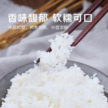 京觅猫牙米 20斤 南方籼米 丝苗米 5kg*2袋箱装 /粮油调味 /米 /丝苗米 商品图4