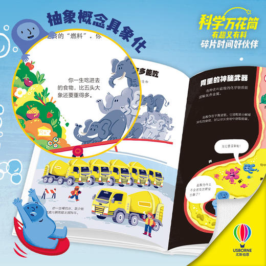 科学万花筒·幼儿趣味小百科6册 商品图2