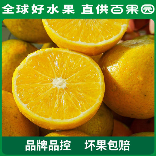 PAGODA百果园 A级-麻阳冰糖橙20粒礼盒装 商品图5