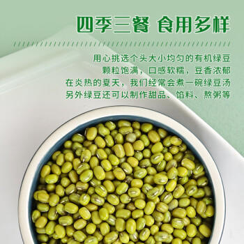 三顷粮 有机绿豆 五谷杂粮 东北粗粮 绿豆汤原料 罐装3斤 /粮油调味 /杂粮 /杂豆类 商品图5