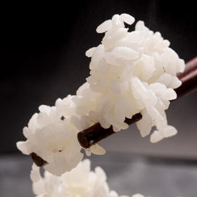 营田 大米10斤盘锦大米蟹田米东北大米当季新米铝箔避光真空包装 /粮油调味 /米 /长粒香米