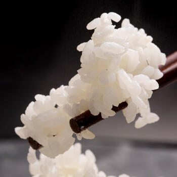 营田 大米10斤盘锦大米蟹田米东北大米当季新米铝箔避光真空包装 /粮油调味 /米 /长粒香米 商品图0