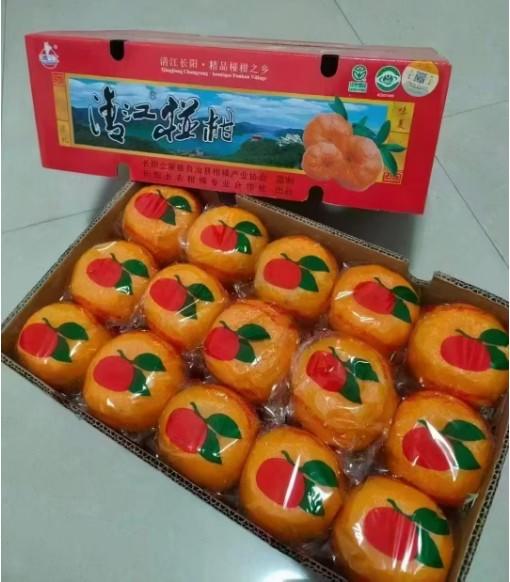 清江椪柑精品果礼盒装当季新鲜水果现摘现发精选80以上精品大果 商品图5