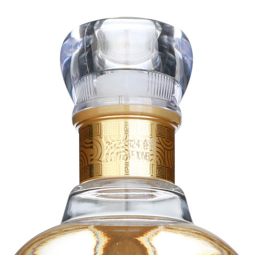 汤沟窖藏42度汤沟献礼版500ML*6瓶整箱装 商品图8