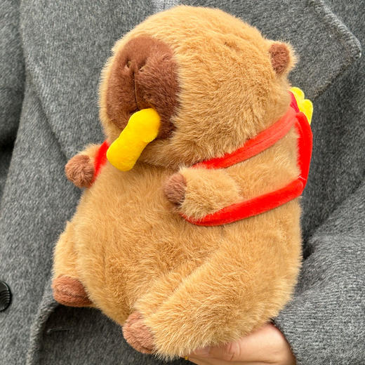 纪念日百货毛绒公仔25cm薯条水豚小号玩具160355206 商品图4