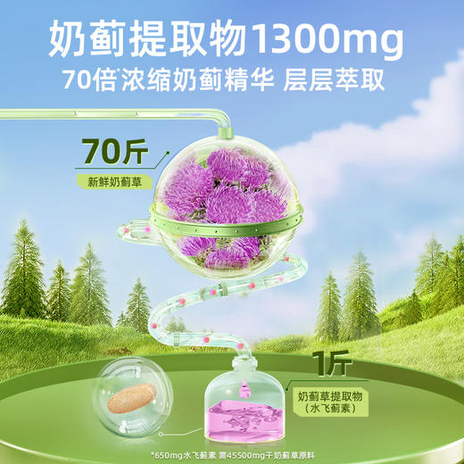 GNC奶蓟精华 商品图2