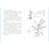 《自然会有答案》林语尘著 首部自然随笔和手绘画集 早鸟价 商品缩略图9