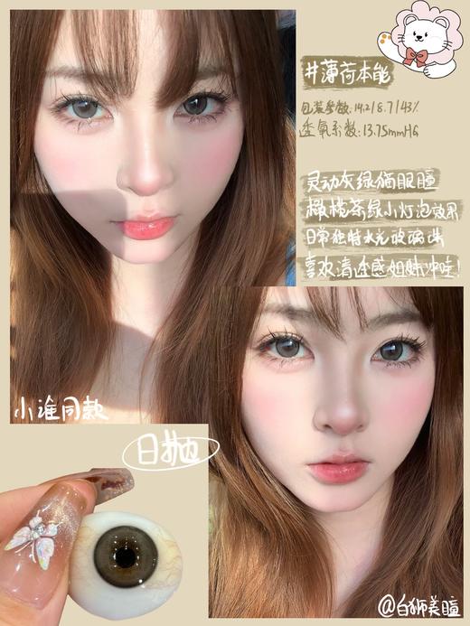 Fully Gift日抛 · 薄荷本能&纯爱发生｜白狮参考着色大直径 日抛  一盒十片装 商品图1