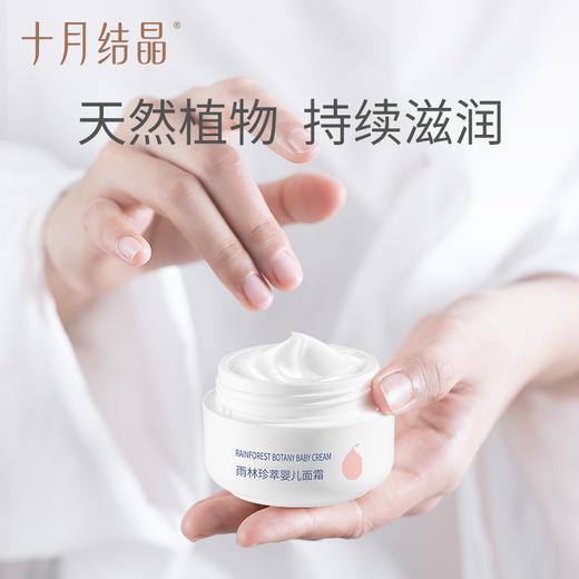 十月结晶雨林面霜 SH932 商品图6