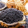 生态老品种黑籼米 1斤/5斤（黑米）| 合作农友生产，产自贵州贵阳高坡，生产者：杨婧懿 *【公平贸易农人定价】 商品缩略图1