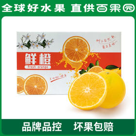 PAGODA百果园 麻阳冰糖橙5斤彩箱装