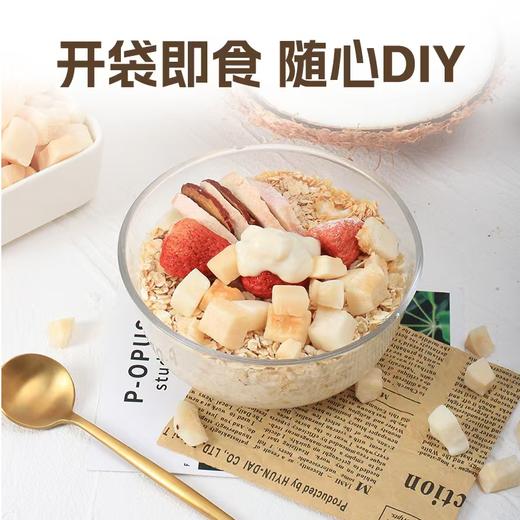 南国生椰脆100g 商品图3