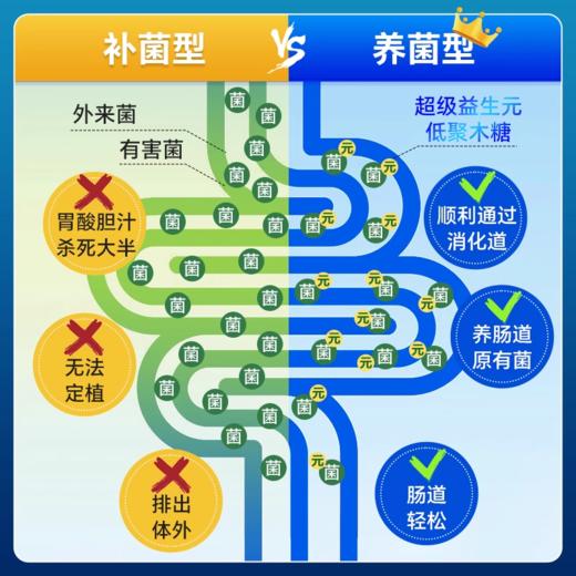 300亿16种调理肠胃菌群复合益生菌 经典版小肚腩救星罗伊氏乳杆菌成人全家 NATURESPAN倍能适 商品图6