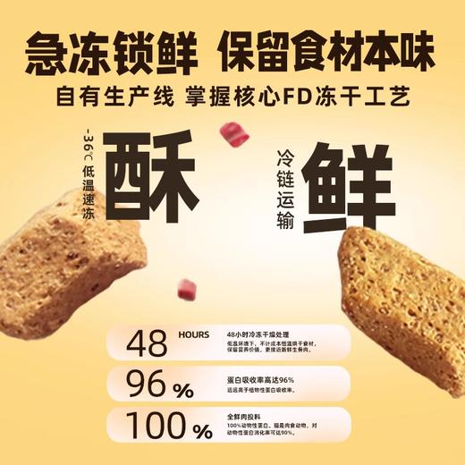 灵动冻干生骨肉主食猫粮全价无谷鲜肉喂养成幼猫兔肉鸽肉辅食拌粮 商品图2