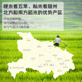 天汇优农地标正宗猫牙米一级长粒香米25年秋季新米煲仔饭炒饭大米年货送礼 /粮油调味 /米 /丝苗米 商品图2