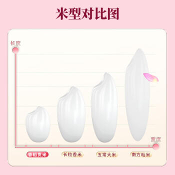 十月稻田 香稻贡米 东北大米 5kg*2/箱装 香米 粳米 10kg 20斤 /粮油调味 /米 /小町米 商品图1