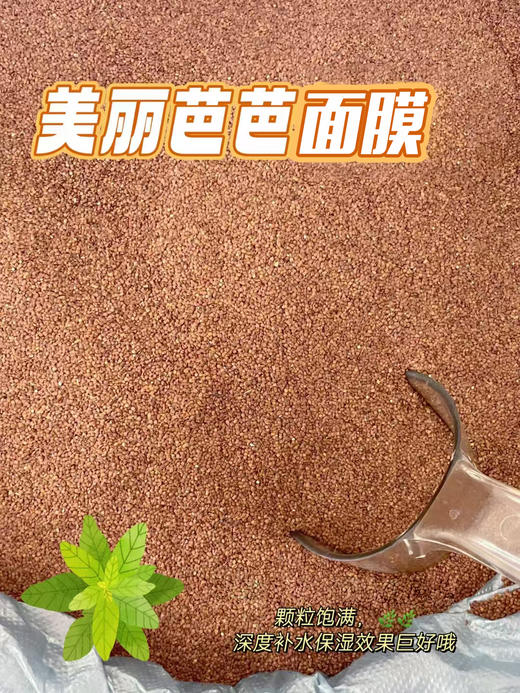 美丽芭芭-海藻面膜 植物面膜 商品图2