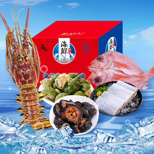 海朴海鲜礼盒 红石斑鱼/多春鱼/带鱼段/翡翠螺/红极参/佛跳墙/龙虾 年货送礼 商品图0