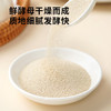 展艺高活性干酵母粉5g*20袋 耐高糖型发酵粉面包馒头包子家用烘焙原料 /粮油调味 /烘焙原料 /酵母/发酵粉 商品缩略图5