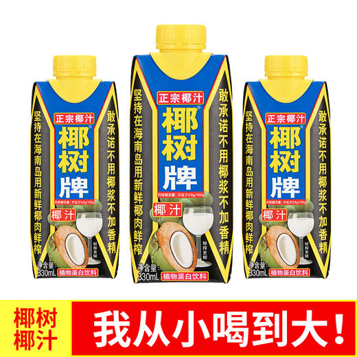 椰树 椰汁正宗椰树牌椰子汁饮料 330ml*10盒 礼盒装 商品图5
