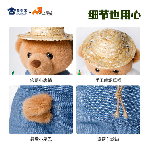 【农科站立小熊】创意毛绒小熊公仔儿童玩具服装可脱送礼礼物 商品图6