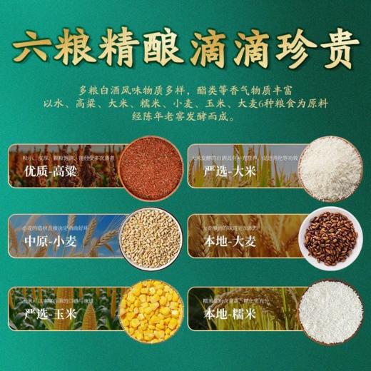 舍得酒业沱牌金猫 52度浓香型白酒 整箱500ml*6瓶包邮收藏送礼 商品图4