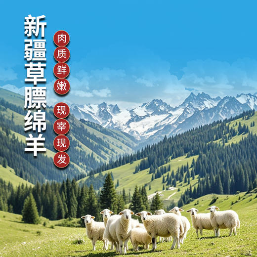新疆塔城草镖绵羊现宰排酸速冻羔羊肉半只羊/整只羊 新疆直发顺丰特快包邮到家 商品图1