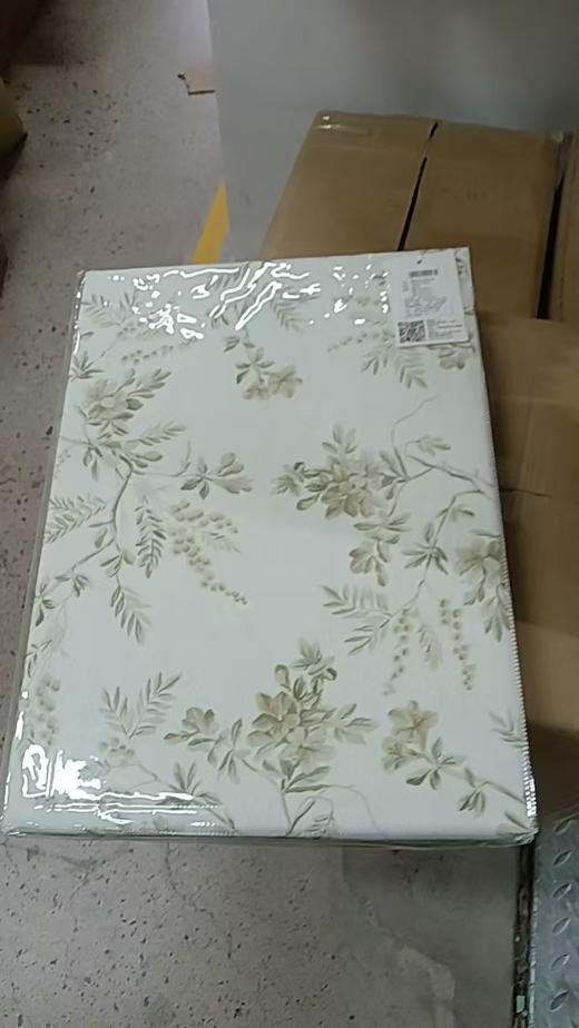 【多样屋专柜】绿野仙踪-全棉四件套/200*230cm/SW 商品图6