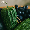 ZEGL金色素圈耳圈2024新款爆款大圈耳环女轻奢高级感银针圈圈耳饰 商品缩略图1