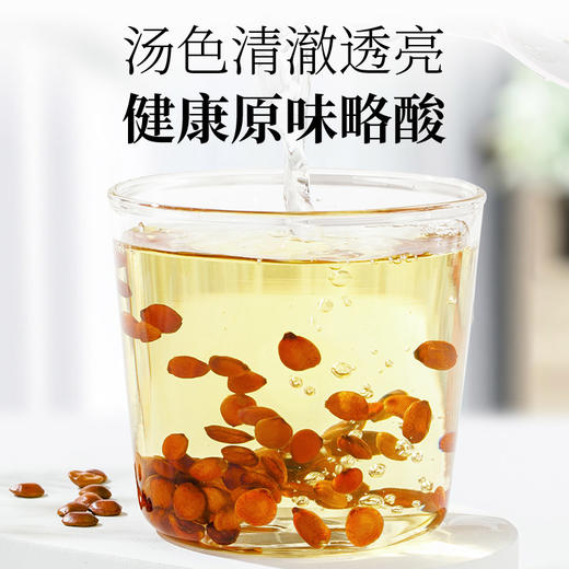 【密封罐】神农金康 河北邢台酸枣仁90g/储物罐装 商品图2