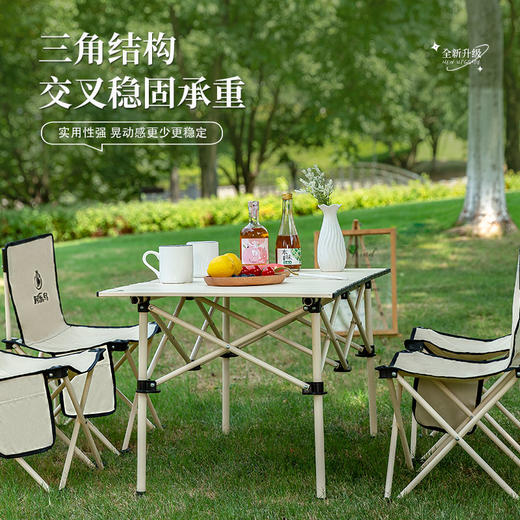 【自营】时乐鸟　轻奢桌椅五件套户外折叠椅桌子凳子 SLN-009 商品图2