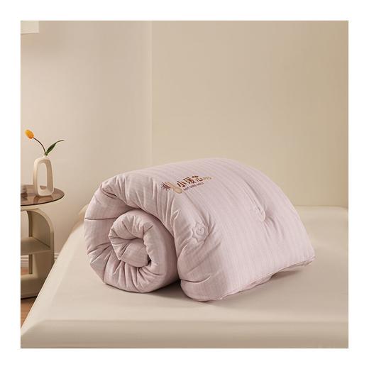 小暖芯pro加厚冬被 商品图3