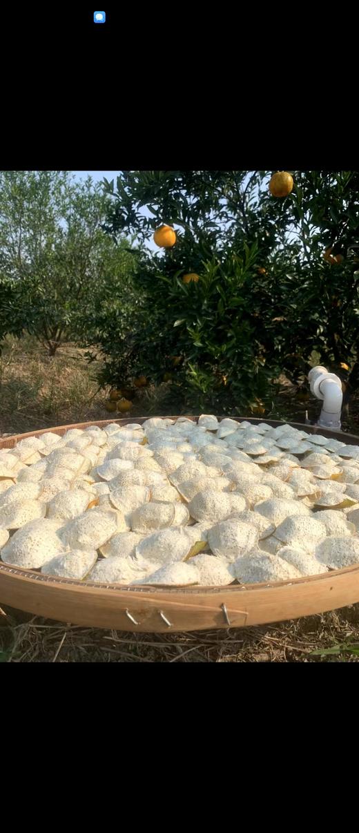 【陈皮】2021东甲原枝大红（含包装250克） 商品图5