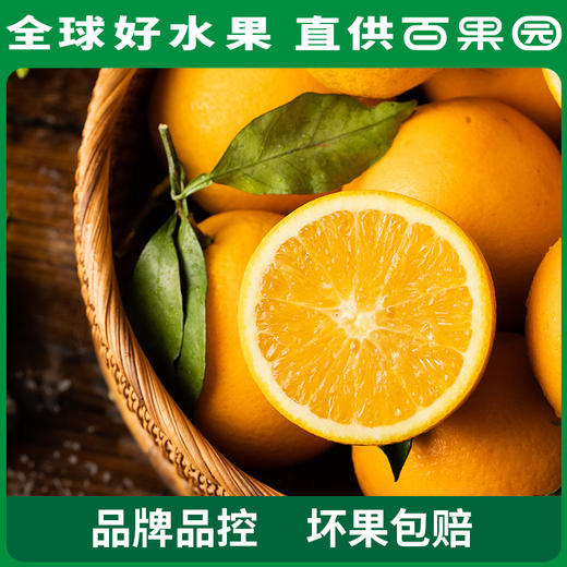 PAGODA百果园 赣南脐橙（中）4.5斤彩箱装 商品图1