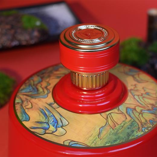 【积分当钱花】52度 原酿天典酒至尊至美 999ml*2  泸州老窖官方旗舰店 商品图3