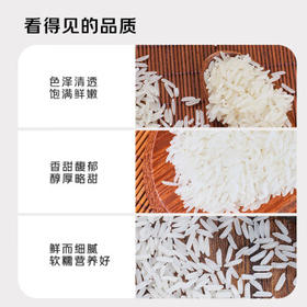京觅猫牙米 20斤 南方籼米 丝苗米 5kg*2袋箱装 /粮油调味 /米 /丝苗米