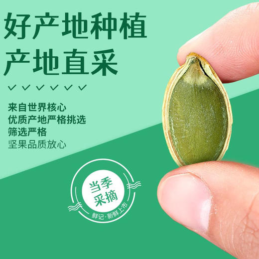 鲜记 南瓜盐焗瓜子348g 商品图2