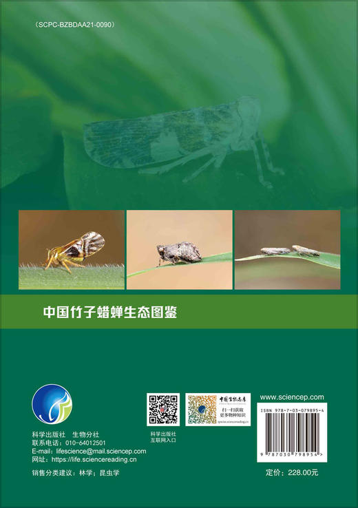 中国竹子蜡蝉生态图鉴 商品图1