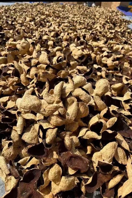 【陈皮】2015茶坑圈枝大红（含包装250克） 商品图7