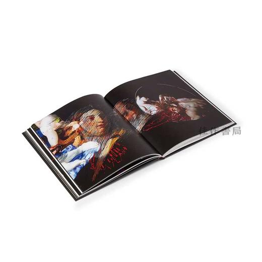 Nalini Malani: National Gallery Contemporary Fellowship / 纳利尼·马拉尼：国家美术馆当代艺术奖学金 商品图2