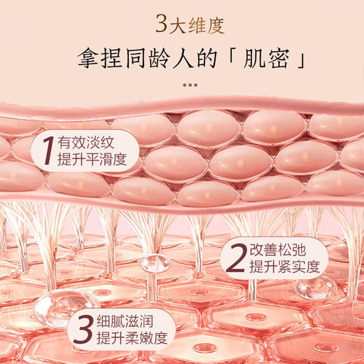 片仔癀PL1D牌灵芝抗皱礼盒4件套 商品图2