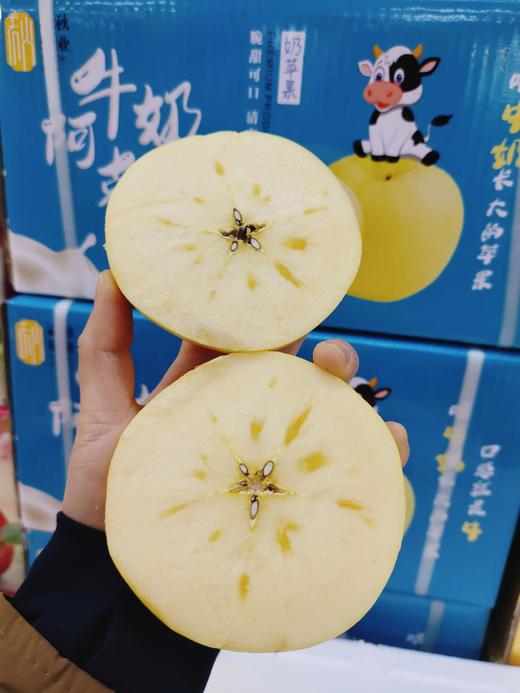 小箱牛奶阿克苏一箱 商品图3